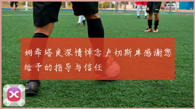 姆希塔良深情悼念卢切斯库感谢您给予的指导与信任